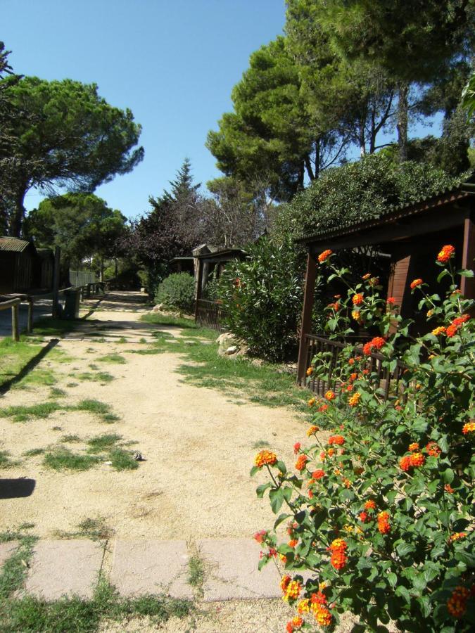Bungalows Club Aire Libre Тоса де Мар Екстериор снимка